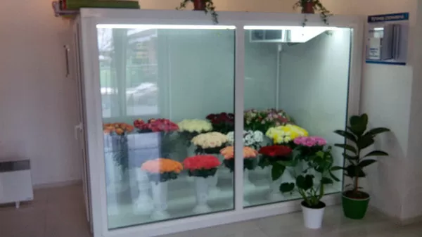 холодильная камера для цветов