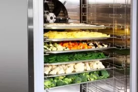 Как выбрать шкаф шоковой заморозки для производства и HoReCa