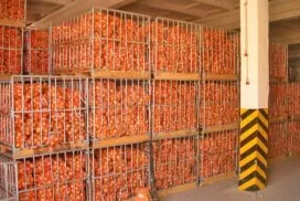 Что влияет на стоимость строительства овощехранилища под ключ: факторы, которые стоит учитывать