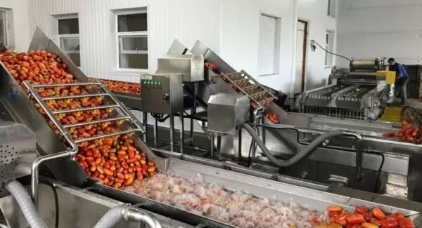 Овоще- и фруктоперерабатывающие комплексы