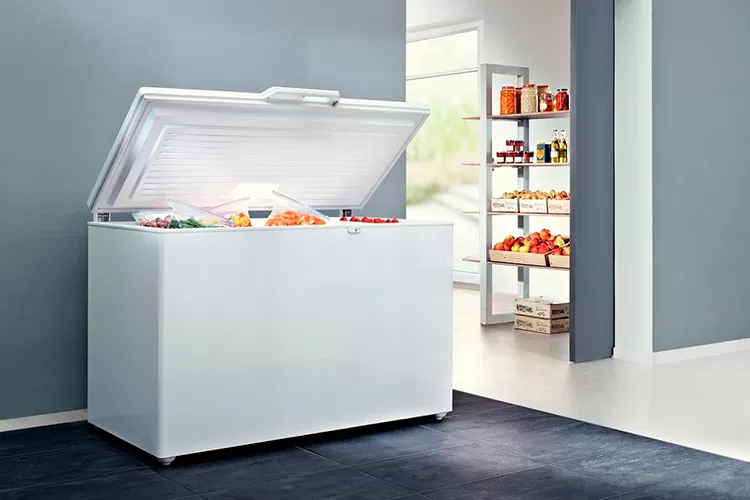 Как выбрать морозильный ларь?